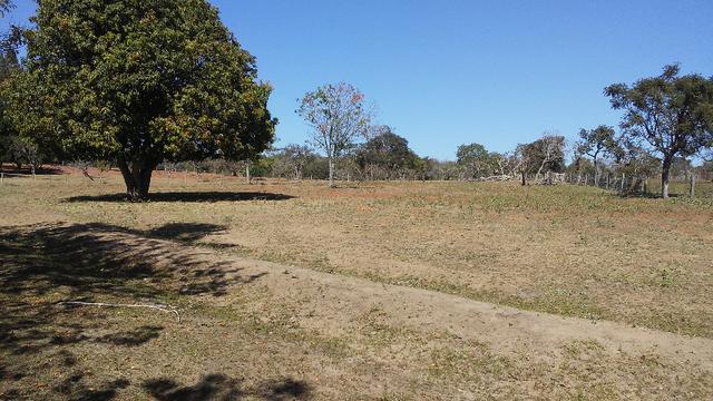 Chácara 14 km de Campo Grande - 9,8 hectares - Foto 16