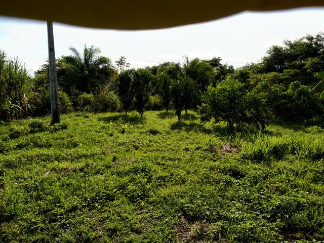 Chácara em santo Antônio - Foto 5