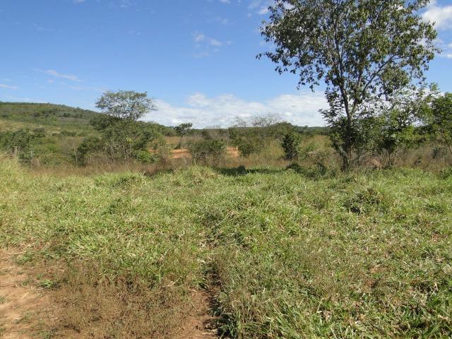 Fazenda 157 hectares na beira do rio Parauna - Foto 7