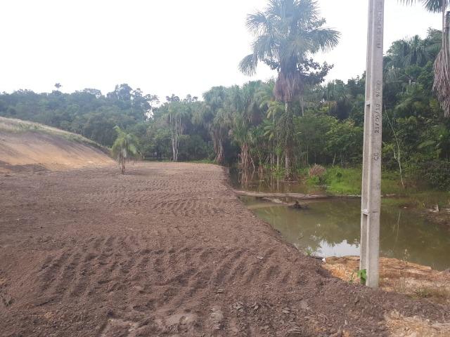 BR - 174 Terreno 22 hectares com 03 Igarapés - Foto 4