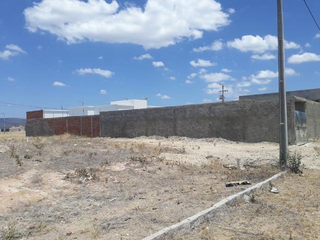 Terreno Loteamento Rocha Arcoverde