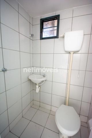 Apartamento para alugar com 3 dormitórios cod:776602 - Foto 5
