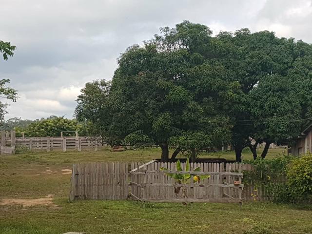 Fazenda a preço de ocasião - Foto 4