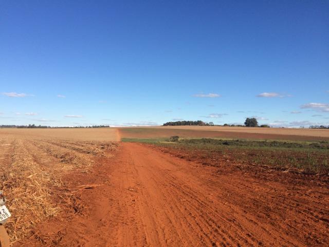 Rodovia Castelo Branco, Fazenda 243 Alqueires