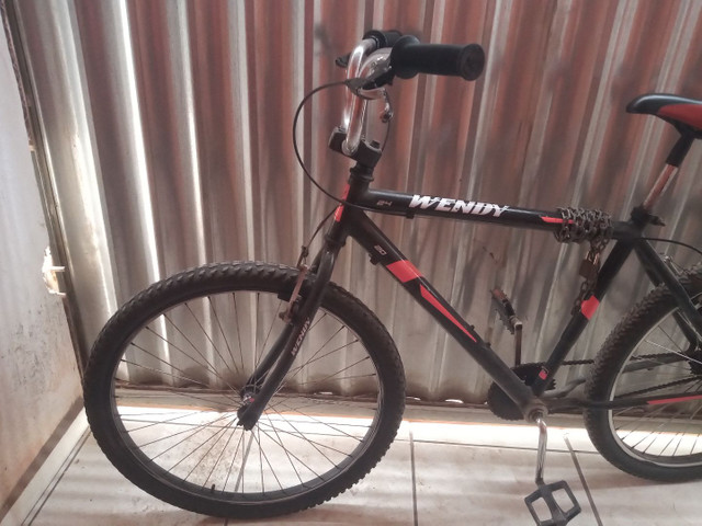 Vendo bicicleta wendy boa - Foto 2