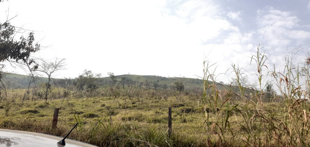 L238- Terreno bom e barato só aqui !!!! - Foto 5