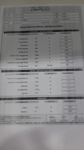 Casquinha de algodão - Foto 3