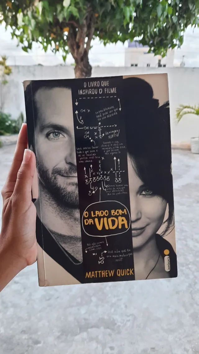 O Lado Bom da Vida (Livro e Filme)