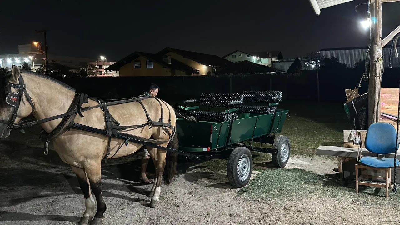Vendo cavalo Crioulo e carroça. - Foto 2