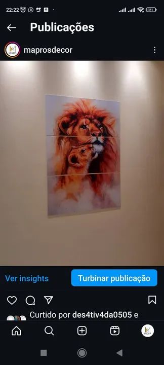 Quadro leão e filhote