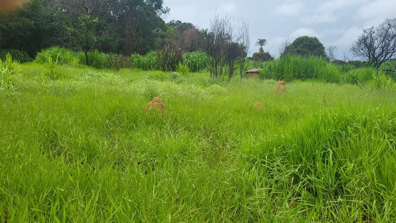 Ex chácara em planaltina df - Foto 4