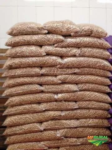 Amendoim cru com casca saco com 10 kg