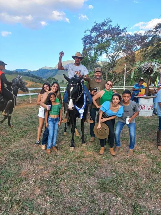 Cavalo Mangalarga Marchador - 1º Prêmio - Foto 3