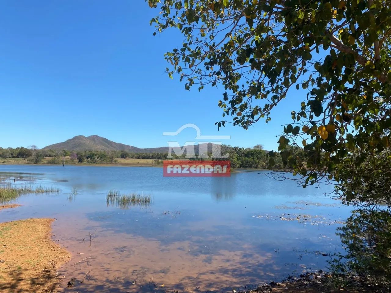 Fazenda em Palmeirópolis-TO. . 440 Alq. ( 2.130 Há). Boa p/ Soja - Foto 2