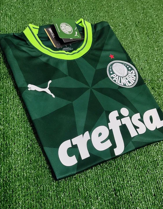 Camisa Palmeiras 2023 Puma