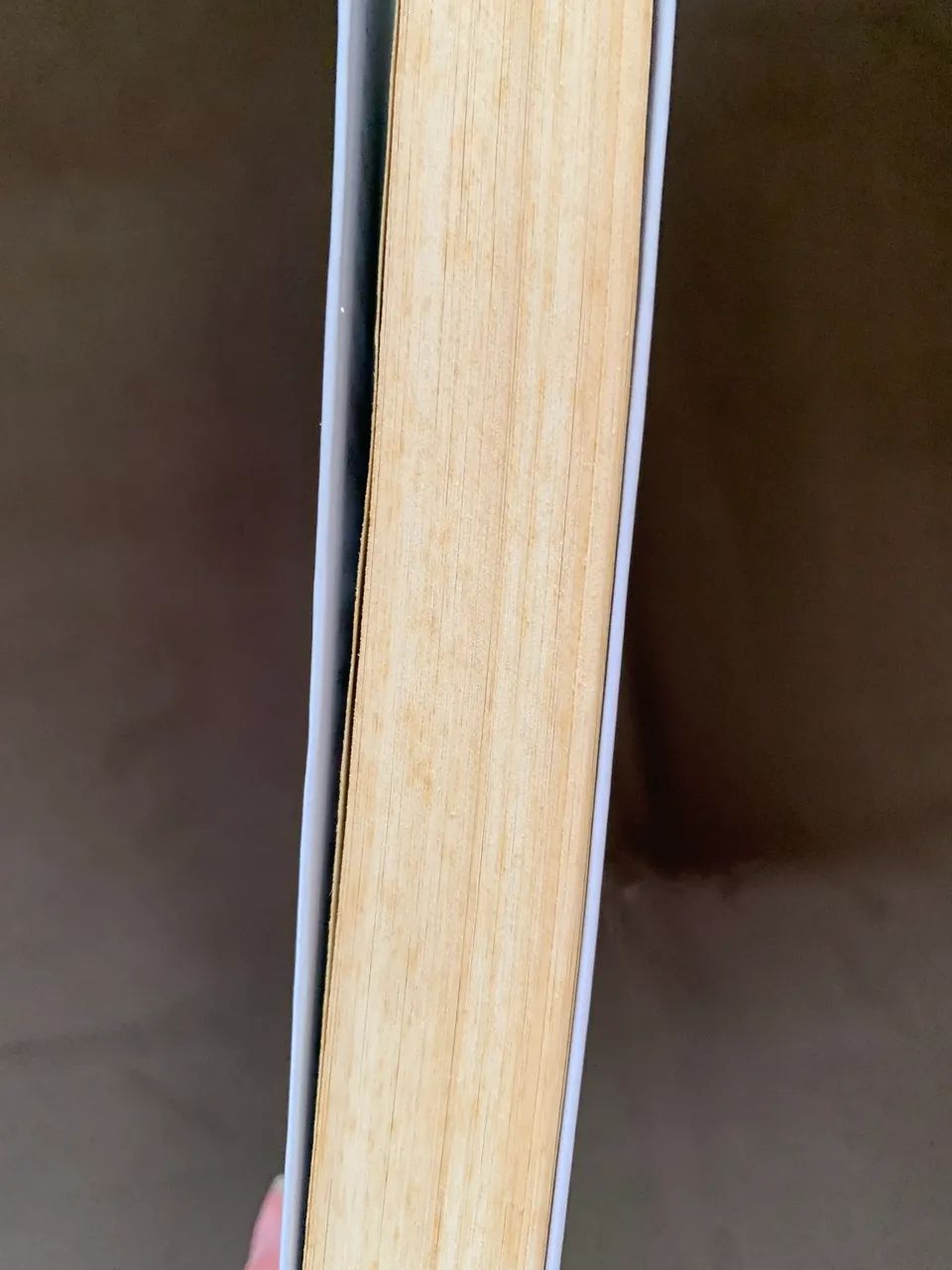 Livro beber jogar f@der - Foto 3