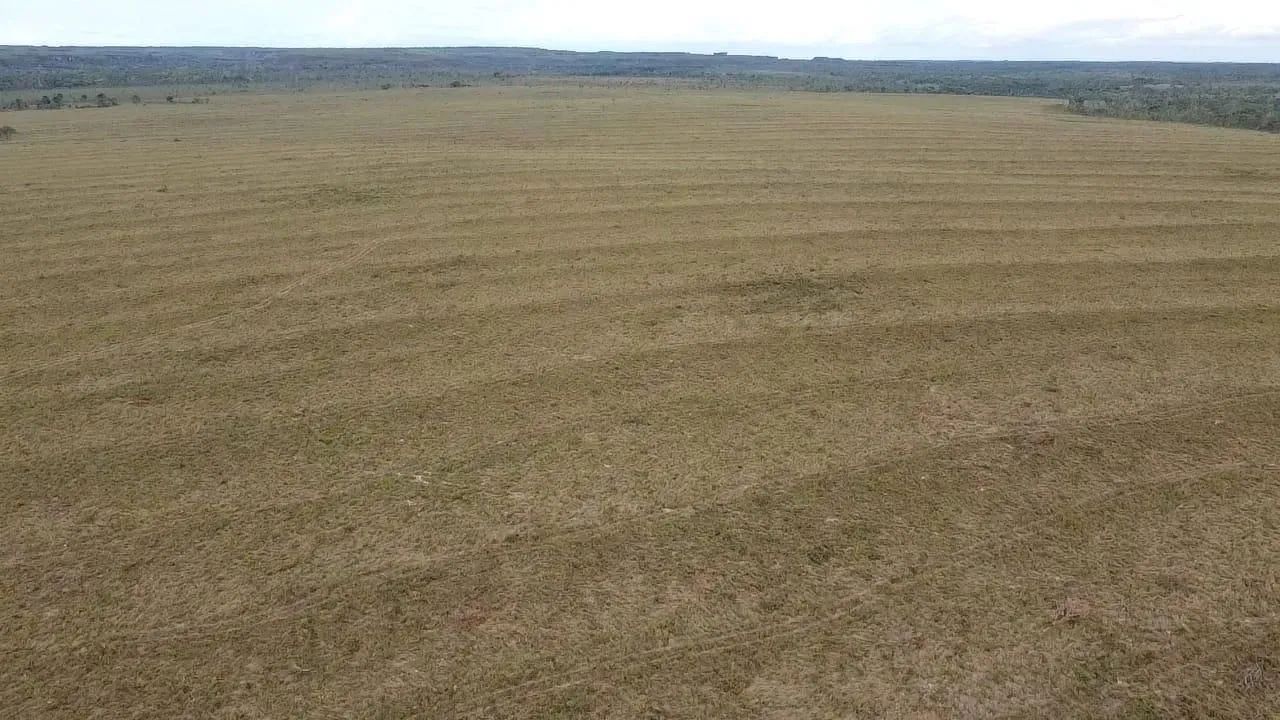Fazenda á venda com 424 alqueires - Palmas - TO - Foto 5