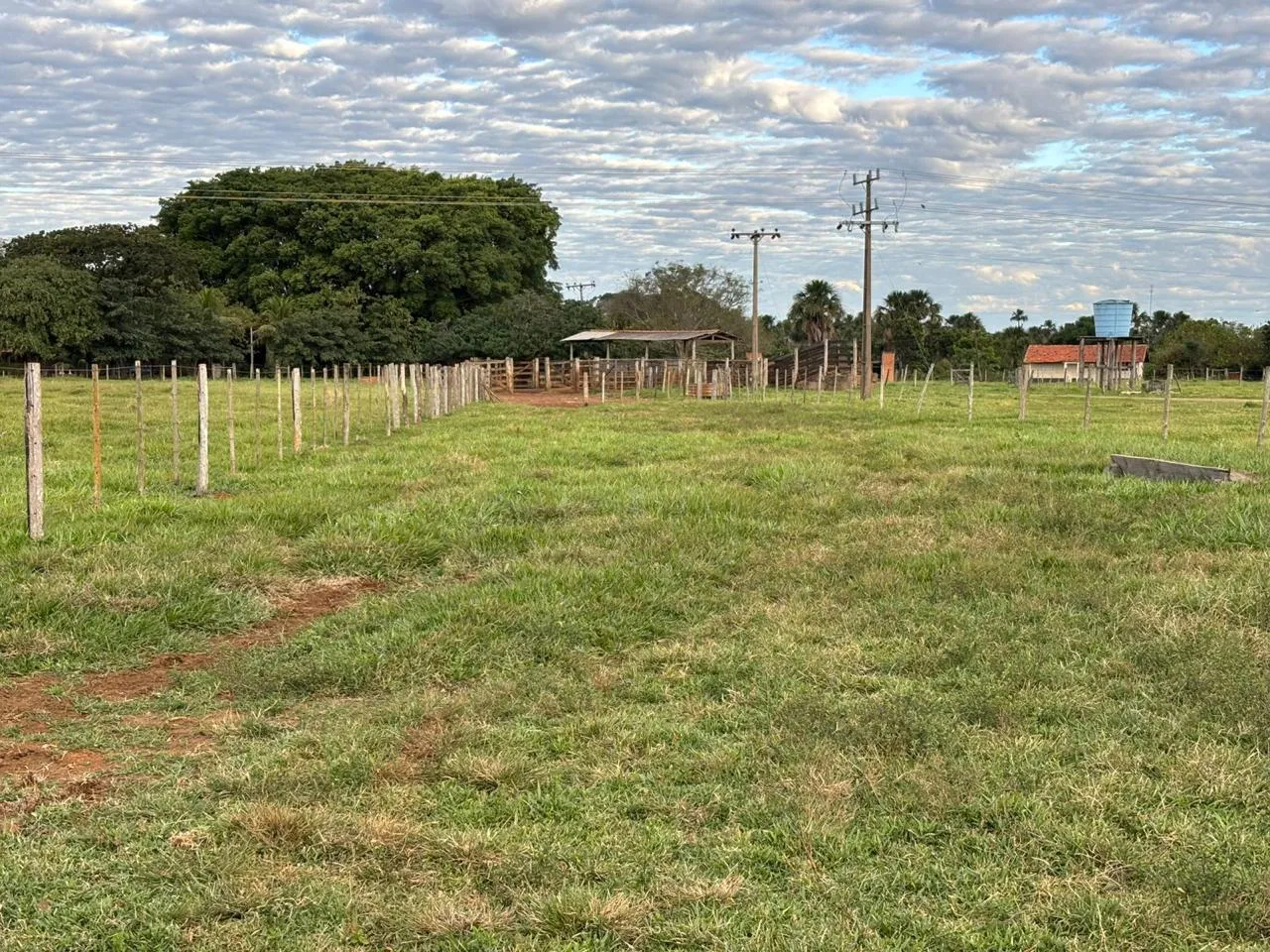 CÓD. 488  ARRENDAMENTO  200 HECTARES  REGIÃO DE CAMPO GRANDE/MS