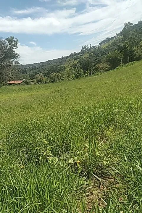 CHACARA EXCELENTE
