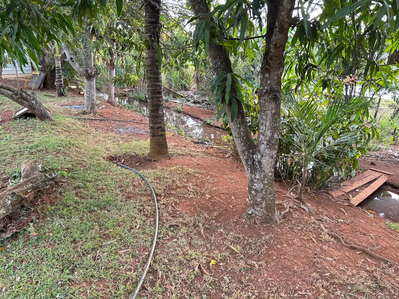 Chácara em campo limpo