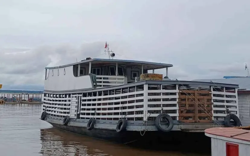 À venda balsa boiadeiro