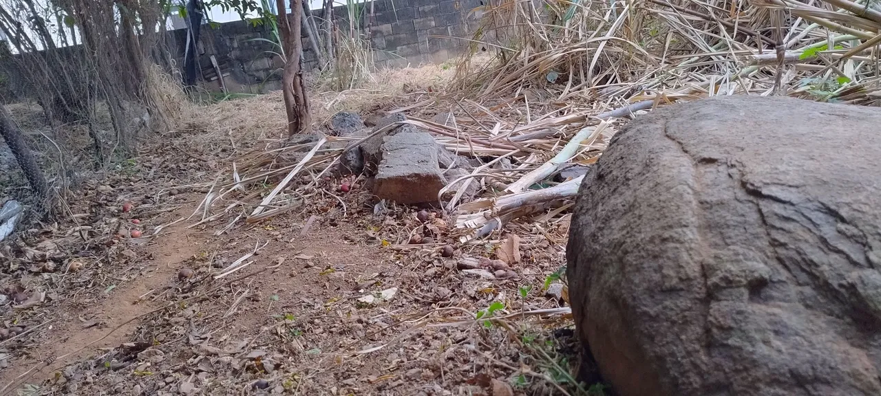 Preciso de Ajudante Geral Agora 07:00 às 16:00 100,00 limpeza de canteiro de obra Urgente