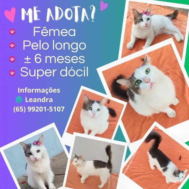 Adoção Responsável