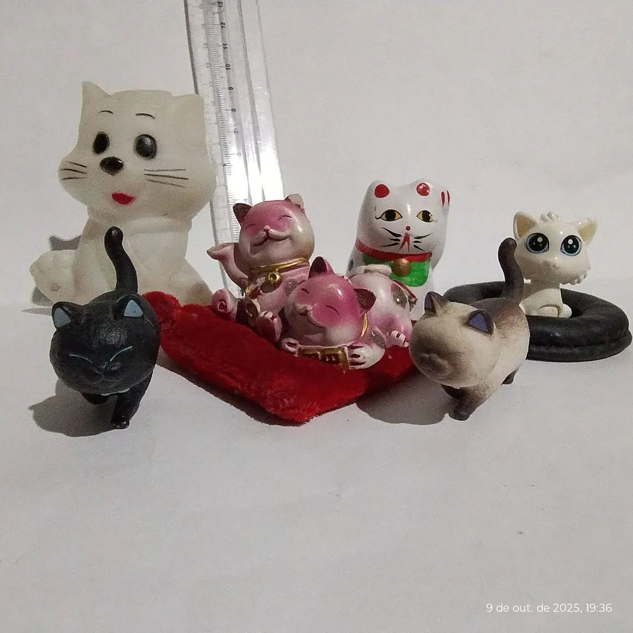 Lote 183, Gatinhos Diversos. - Foto 5