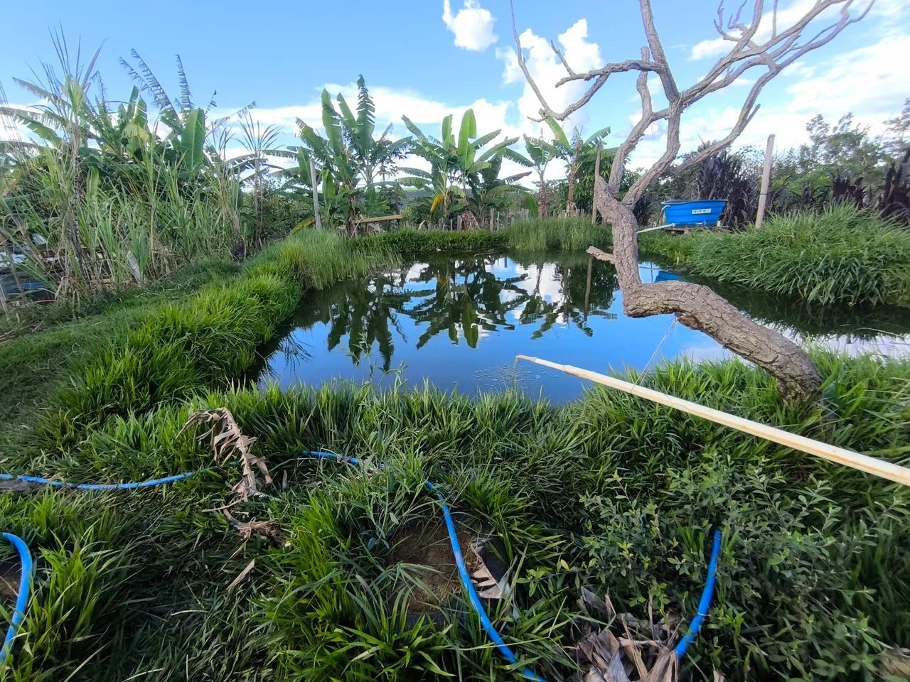 Foto - Planaltina - Área Rural de Planaltina