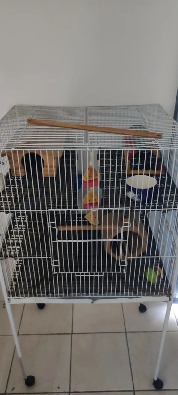 Gaiola Rato twister - Foto 2