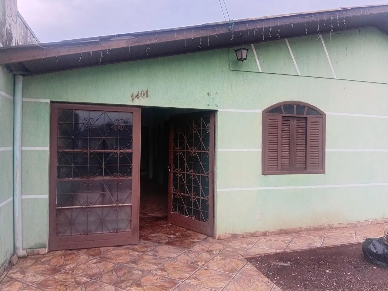 Foto - Ponta Grossa - Cará-cará