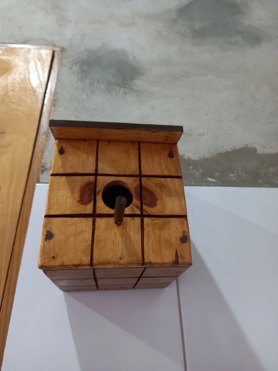Passarinho - Foto 4