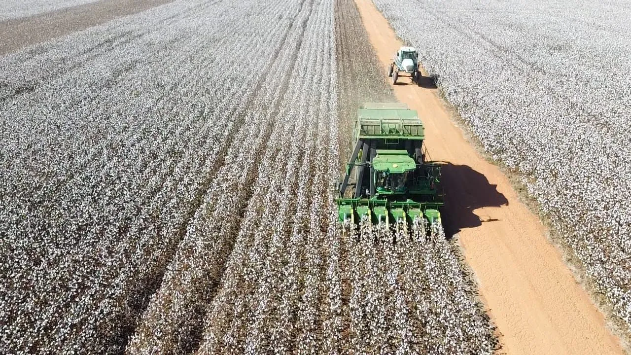 Fazenda de arrendamento 5.000 hec 3.500 prontos em alta floresta MT.