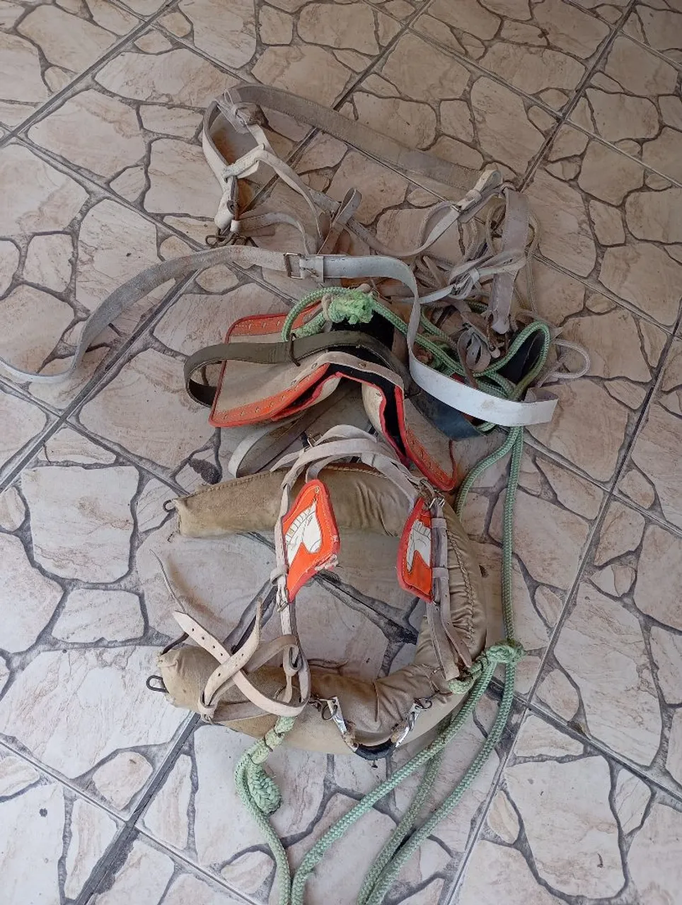 Carroça animal com ariata