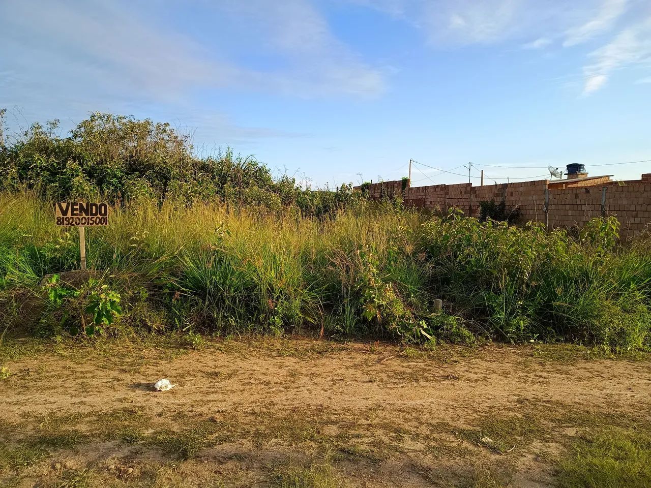 foto - Ribeirão - 