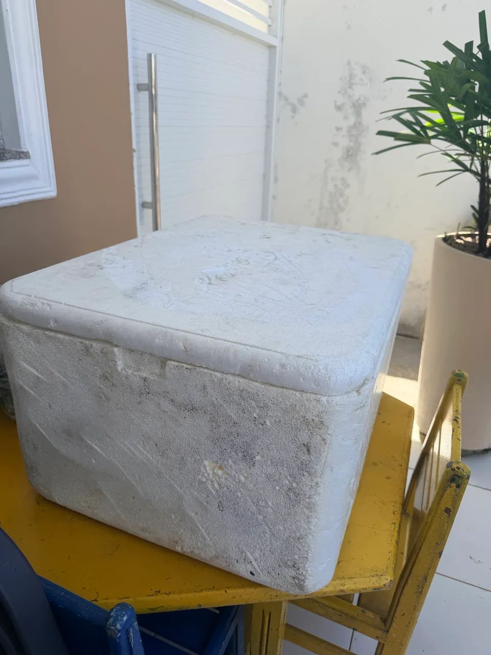 Caixa de isopor 