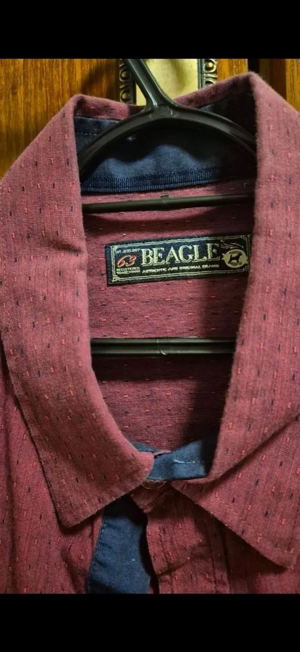 Camisa beagle  - Foto 2