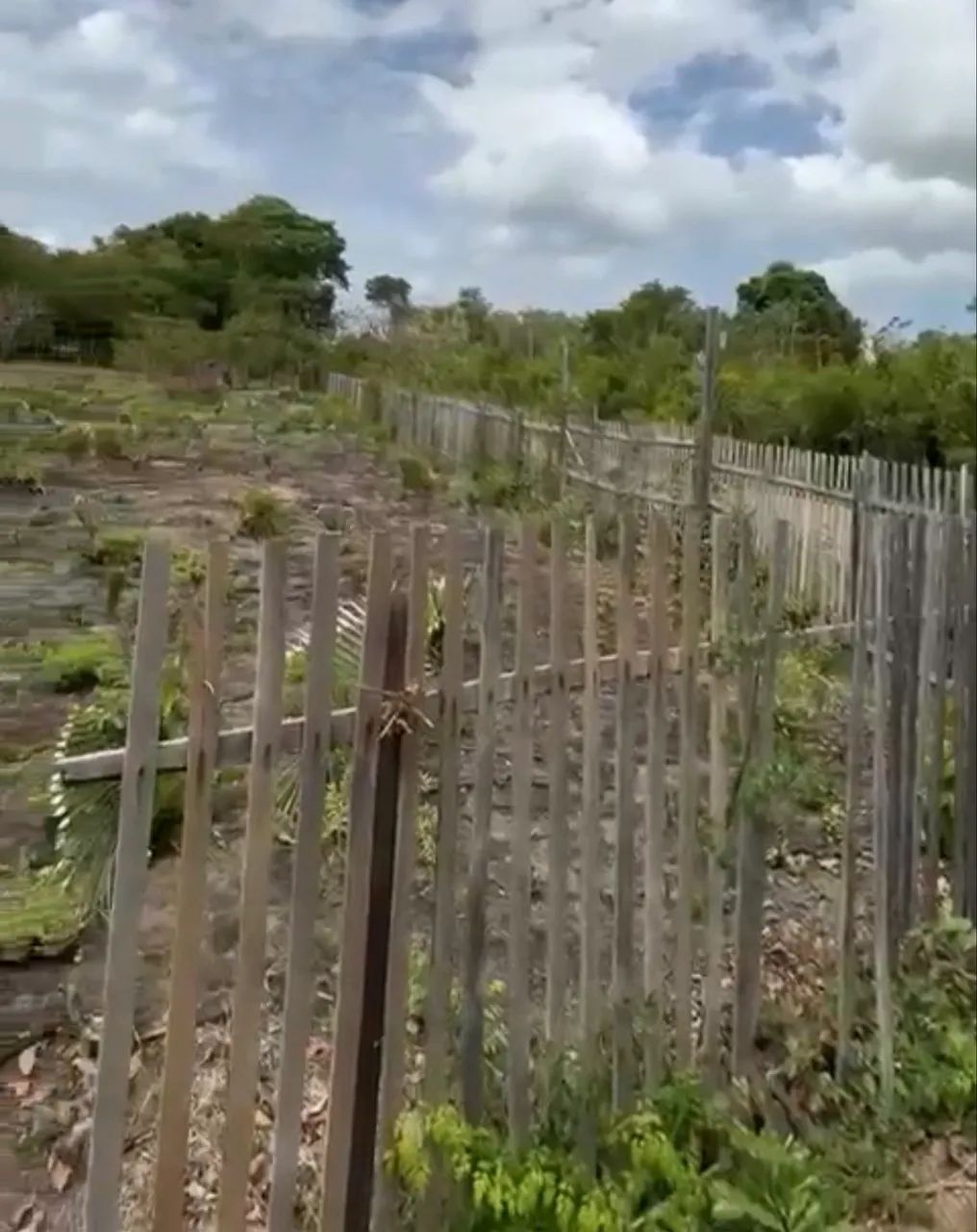 Foto - Santarém - Diamantino