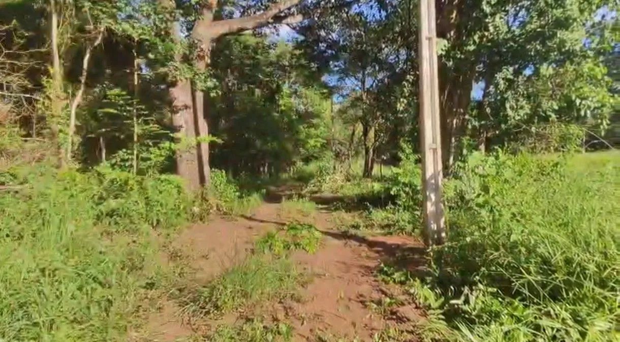 Aldeia da Mata - Foto 5