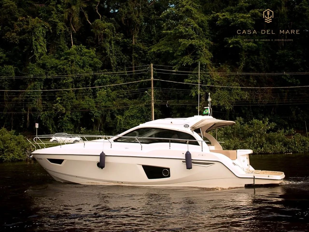 Sessa C40 2019