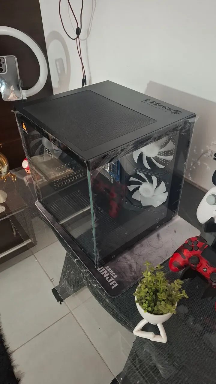 Ganitene aquário  - Foto 4