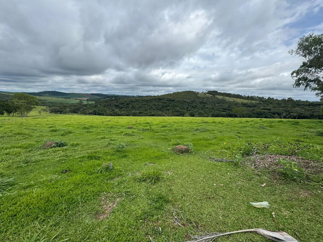 Terreno de 5 mil metros em itaguara  - Foto 4
