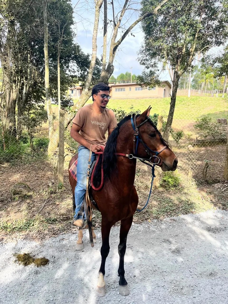 CAVALO MARCHA PICADA  - Foto 4
