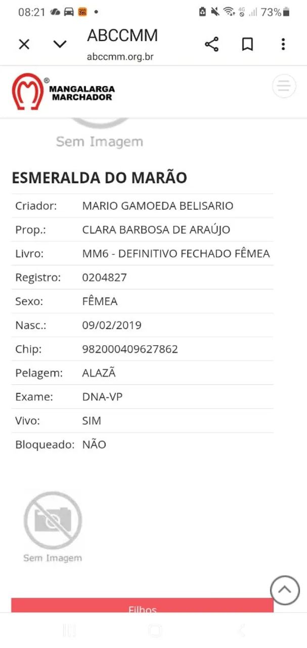 Pacote 3 em 1 - Foto 3