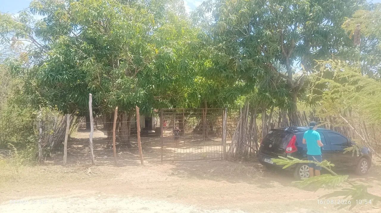Venda