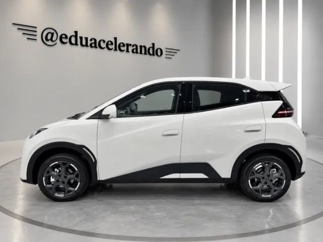 BYD Dolphin Mini (Elétrico) 2027 - Foto 4