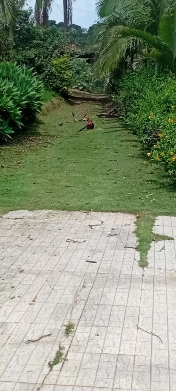 Aluga se chácara na cidade de socorro  - Foto 4