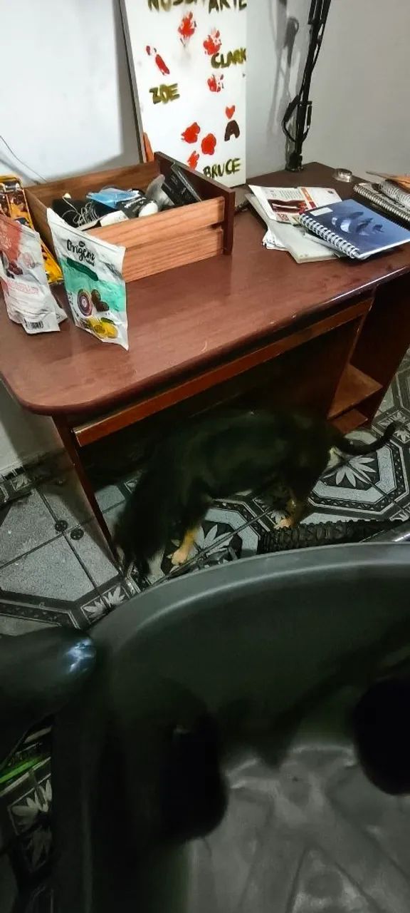 Mesa para Computador com Luminária - Foto 3