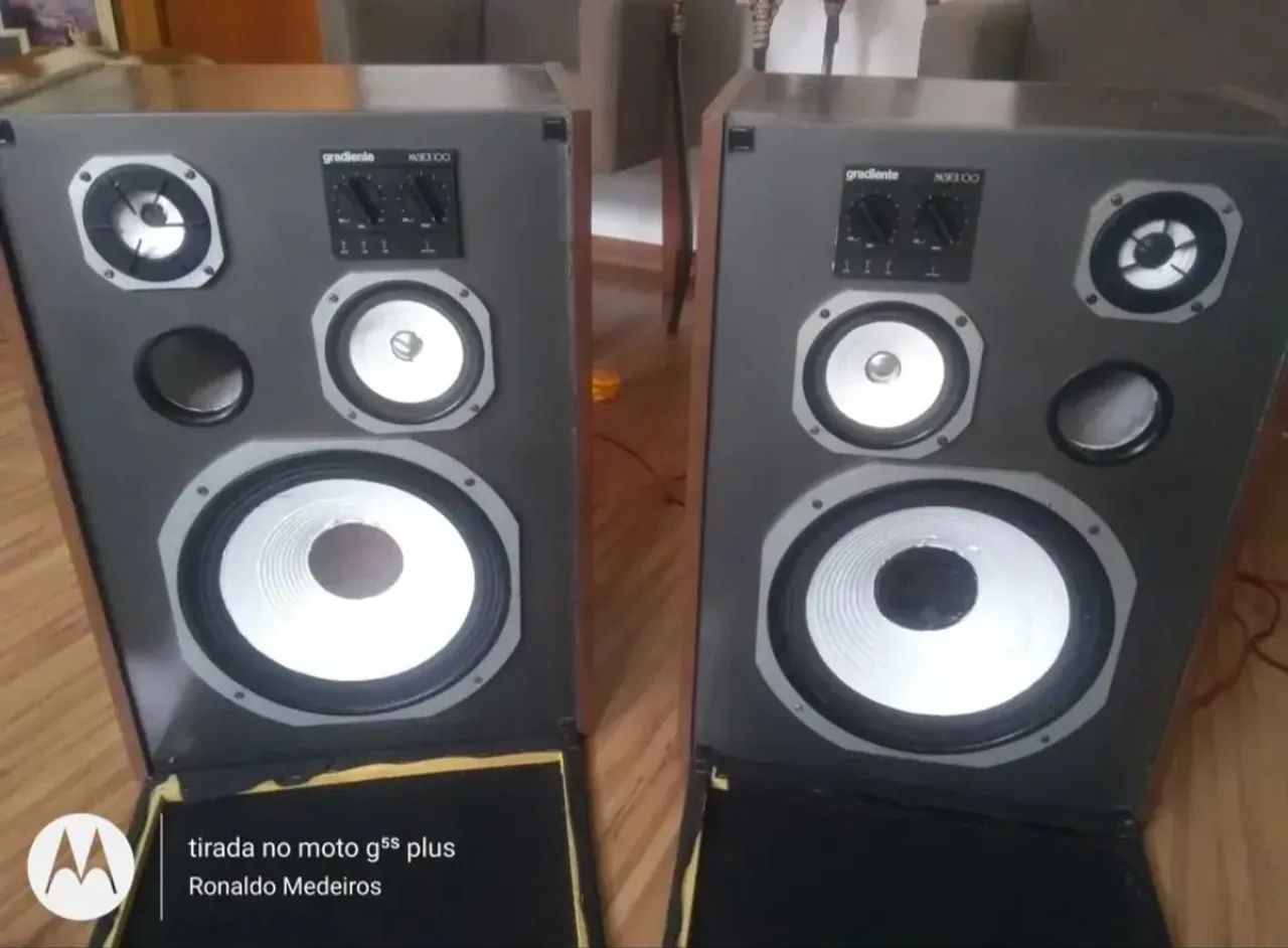 Gradiente master 100 ( par caixas não envio)
