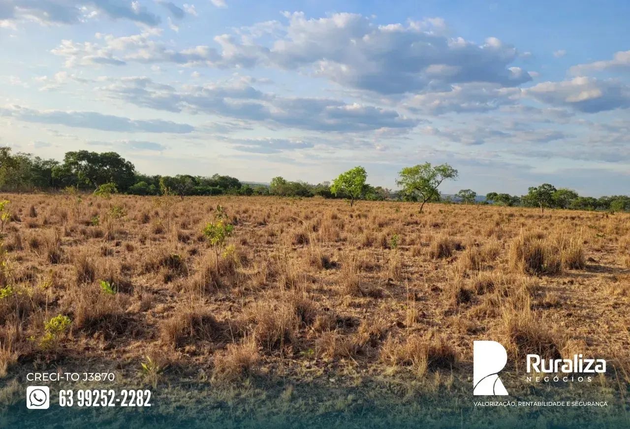 Fazenda em Pium - TO - Foto 2